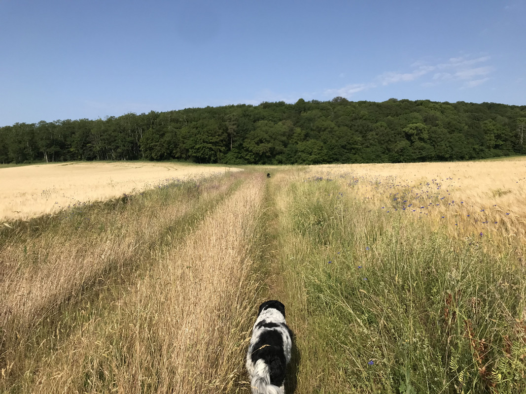 ADDFD687-C2CF-4306-8F0F-A861A10D5673