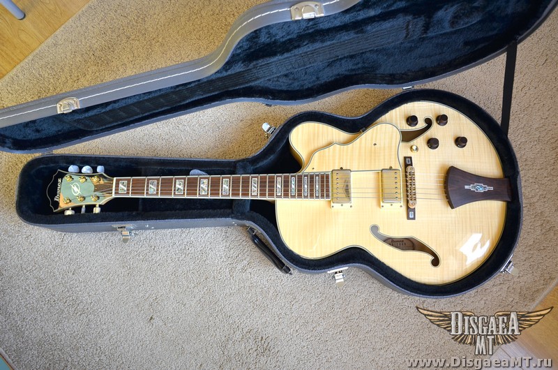Ibanez_Artcore_AF105-NT_exch_003