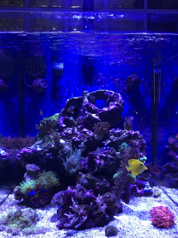 C34F4024-520B-4FAB-8DEB-141E410A9184