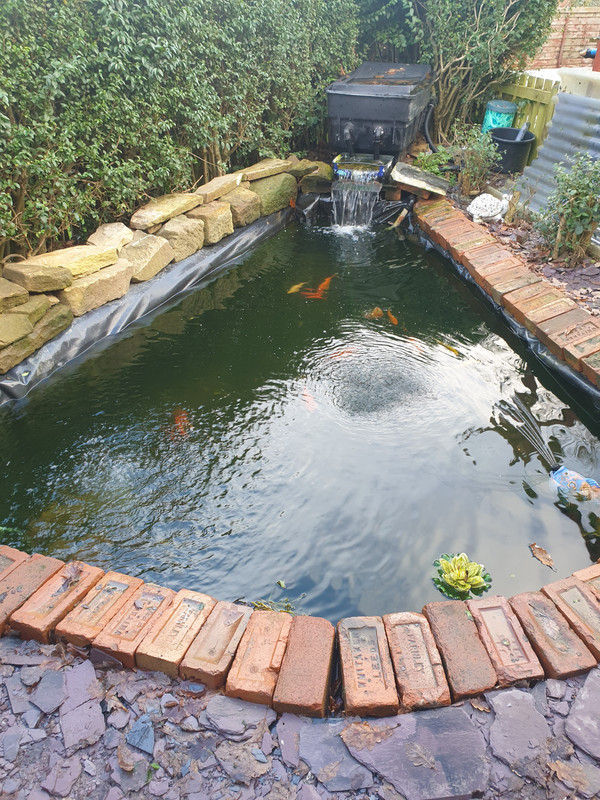 16119315591397382310319052285557