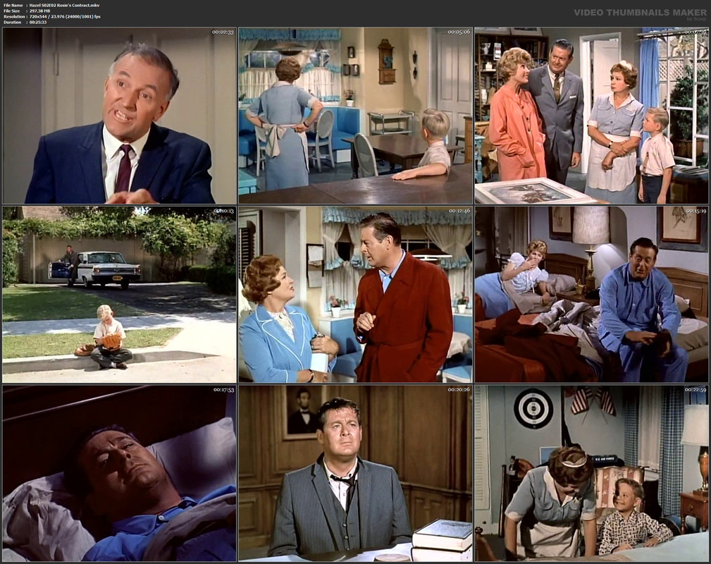 Hazel S02E02 Rosie's Contract.mkv