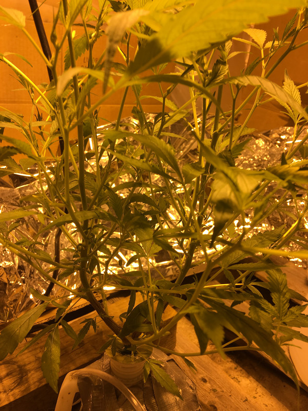 06038B70-94B0-4829-A73B-6ED856571150