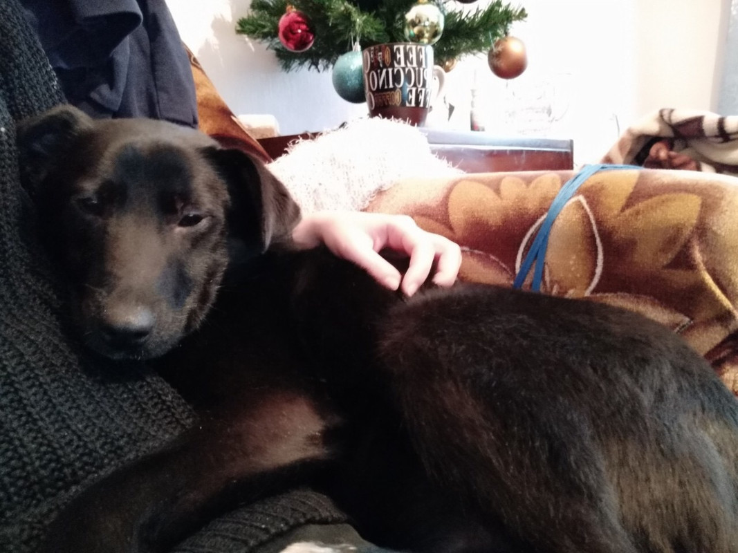 20897009-66C7-4C4C-A810-FA07A4245922