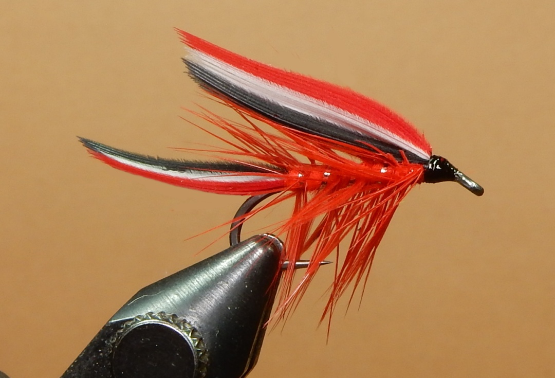 Kineo-1080.jpg