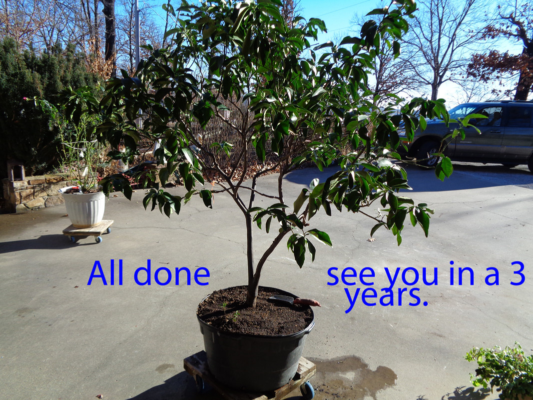 DSC00894_edited-1 (1)