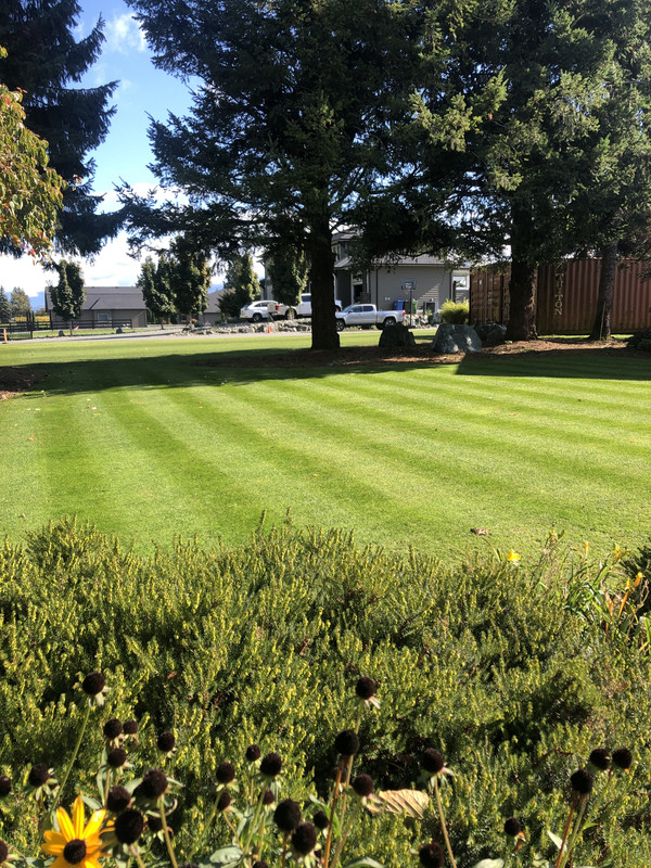 8033C251-1B1E-4FC7-BF65-F6E1E3960018