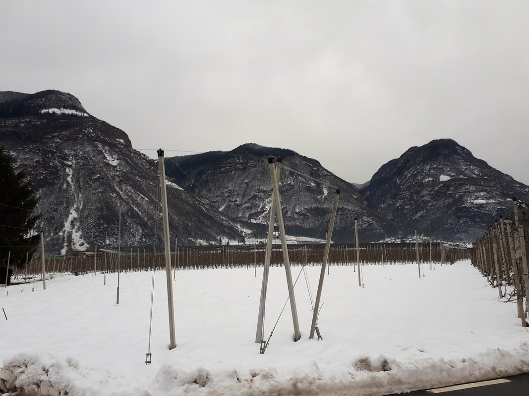 20190203_153727
