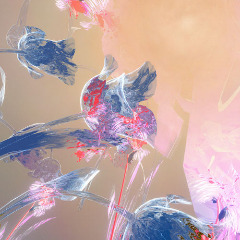 1557756455_500x500.jpg