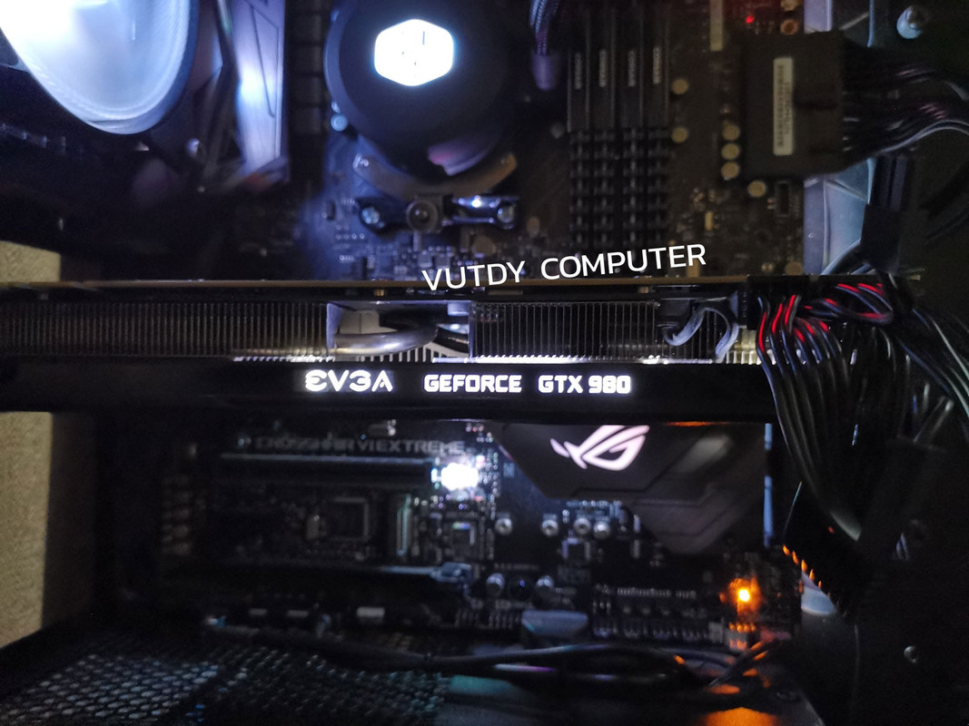 53005032_2312728155661716_5056268081920212992_o