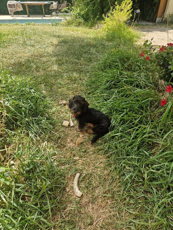 [Image: IMG-20250804-WA0001.jpg]