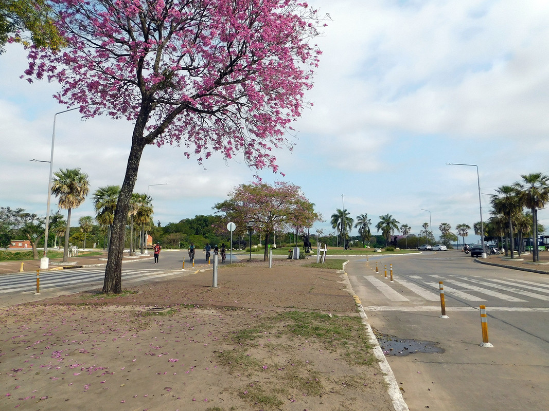 DSCN0332.jpg