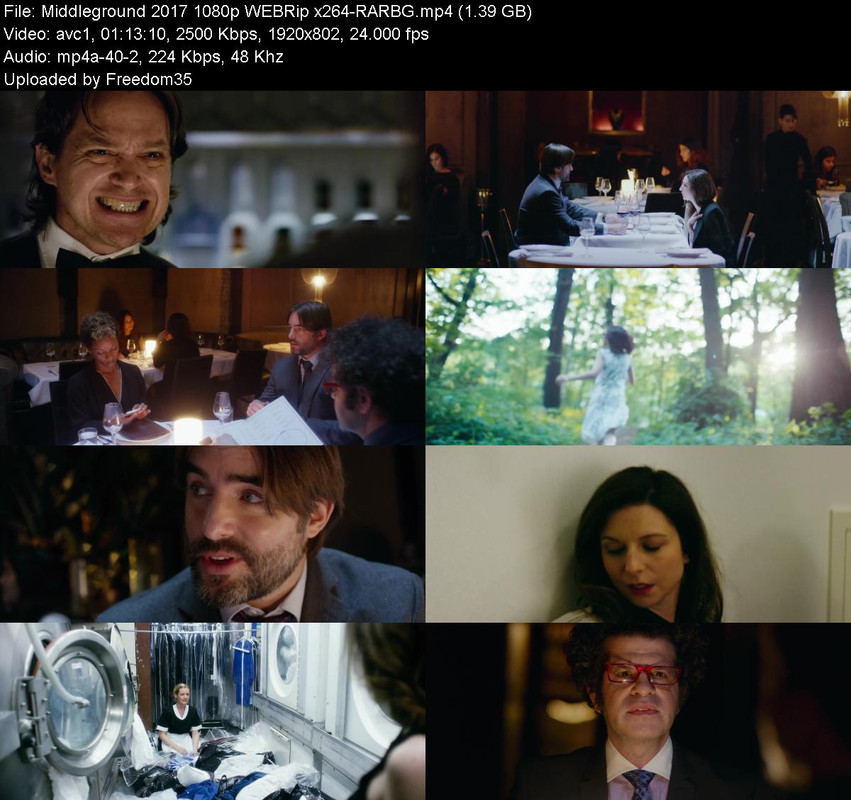 Middleground-2017-1080p-WEBRip-x264-RARB