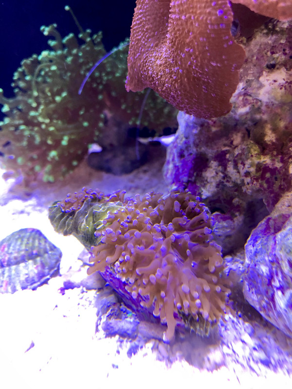 BDE0F5D7-B7D1-4424-A6C7-1A0160458D11