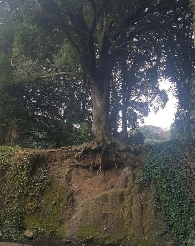 Naturaleza-1