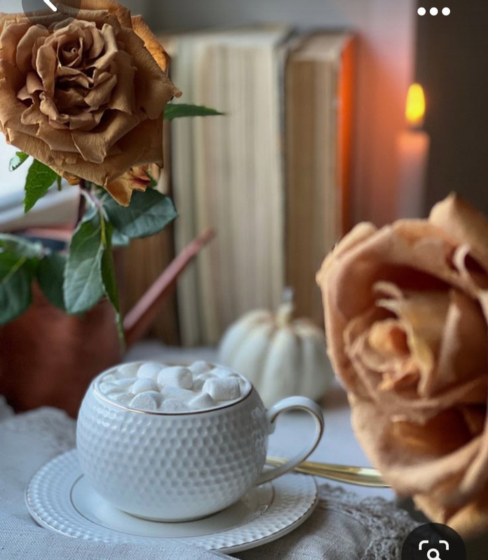 Screenshot_20230928_225954_Pinterest