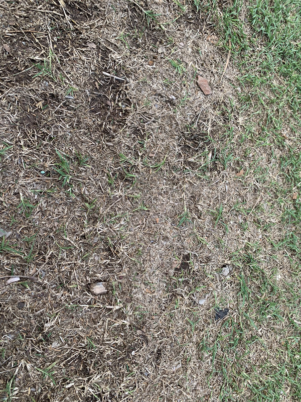 E50A5639-8F90-4389-871D-2EC5BF5063C9