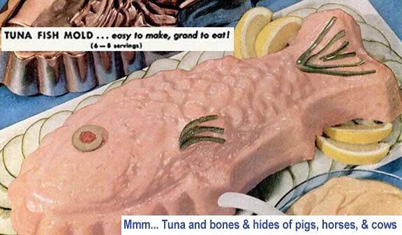 https://i.postimg.cc/QCfY0g24/Gelatin-Tuna-Fish-Mold-1950.jpg