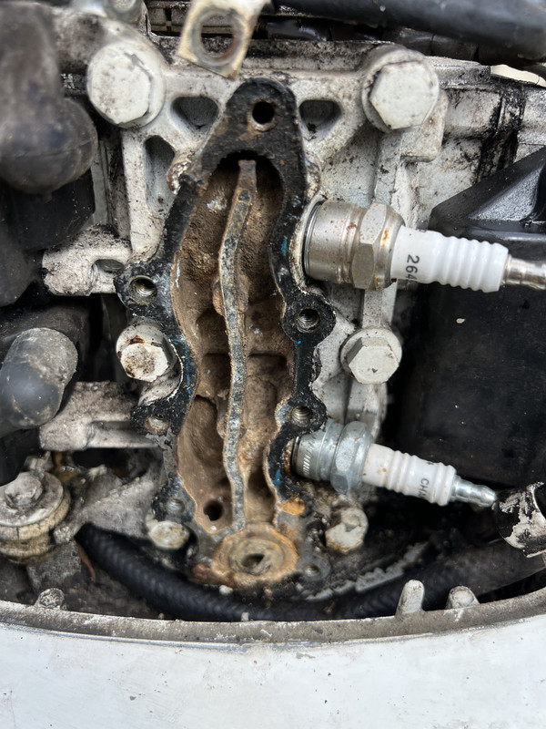 1CFE2596-6107-4009-9D56-22120F393582