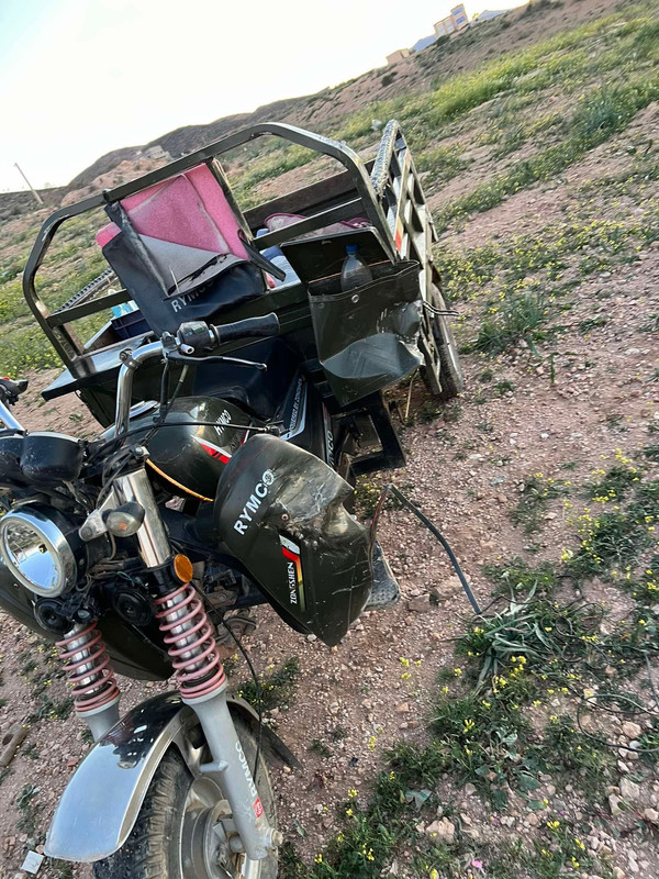 649342339-912492524971626-2300601210215972672-n