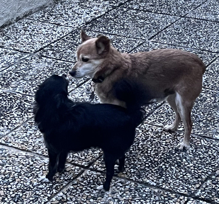 [Image: IMG-7936.jpg]