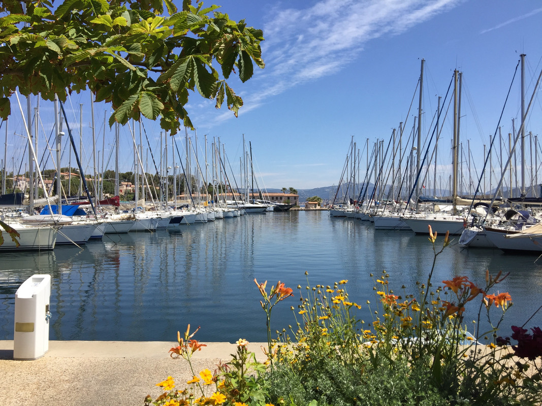 D2D89DE3-6235-4666-83CB-BA5BA34056D2