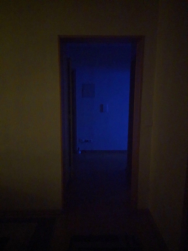 IMG_20211225_001656_tigr