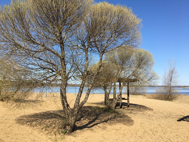 4672F801-F4BD-448B-8288-8A8DD824DFBE