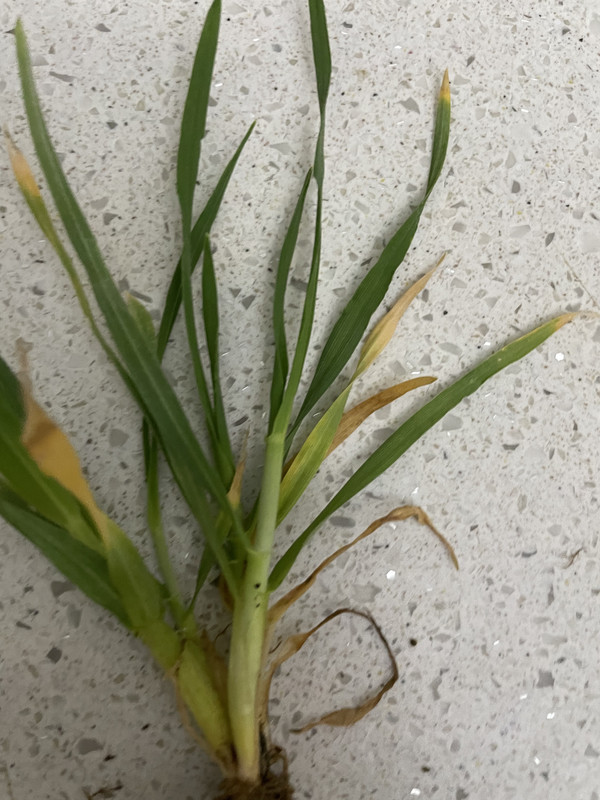 F32A4B37-C3DF-4F09-B1D5-6D270DCDD8B8