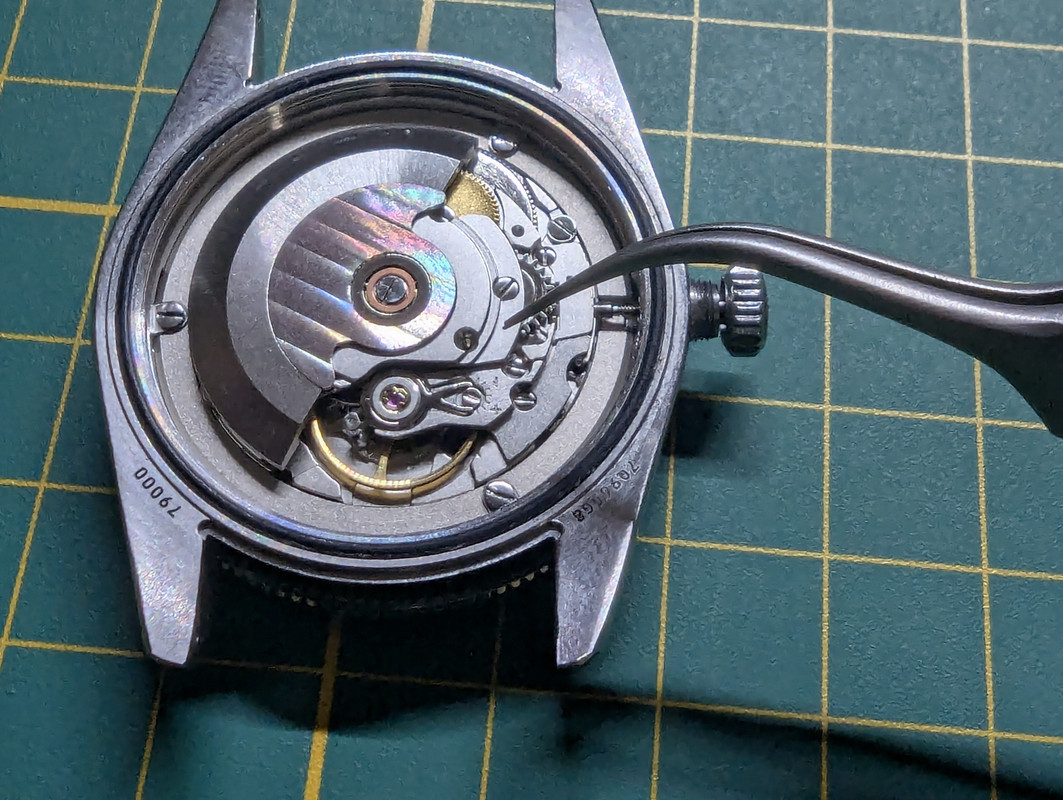 PXL-20250605-181145537.jpg