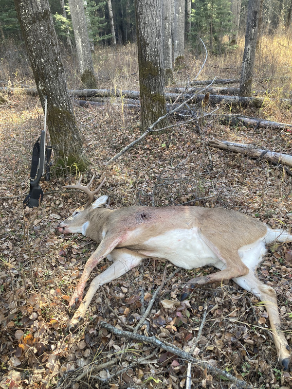 2EDADEC5-76C9-4AB4-ABCC-64229CF1558F