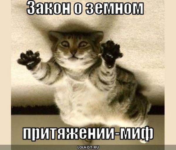1263109113-1-28.jpg