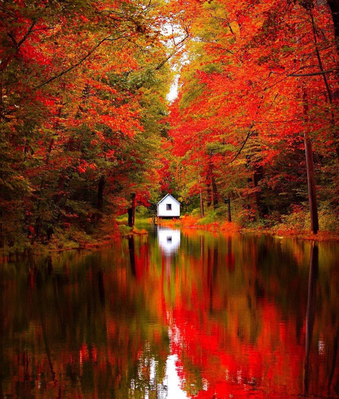 Screenshot_20231128_000039_Instagram