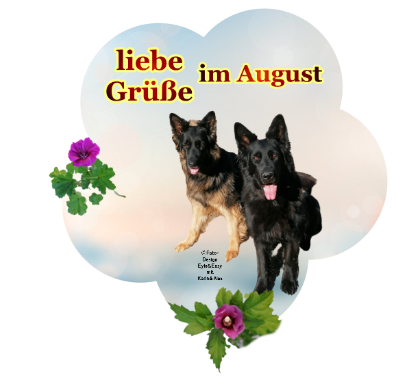 An den Beitrag angehängtes Bild: https://i.postimg.cc/QChKNJBD/GB-Bild-gr-e-im-August.png