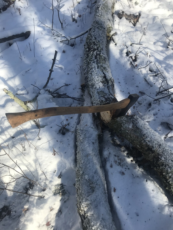 F3B40809-4847-456A-A74C-9118C8872A29