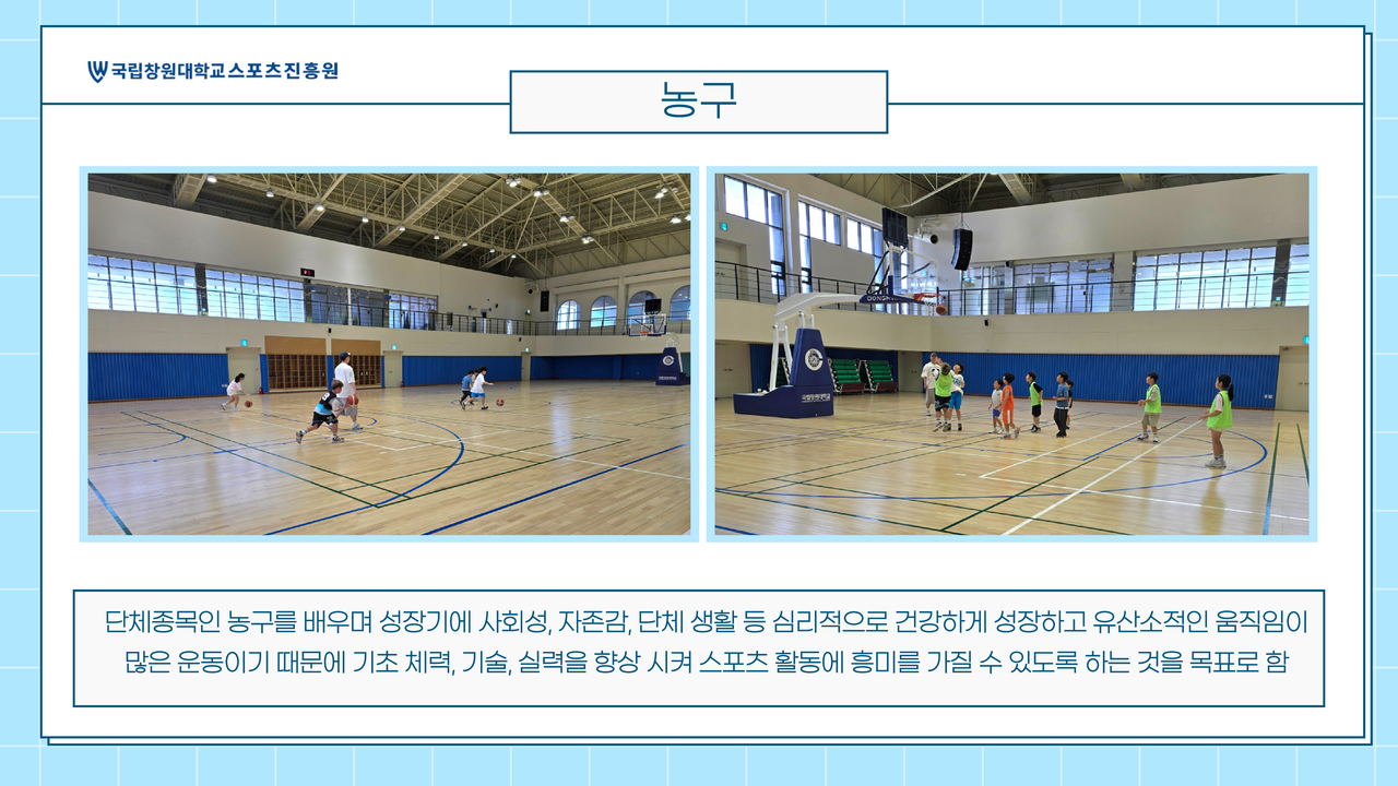 농구 이미지1