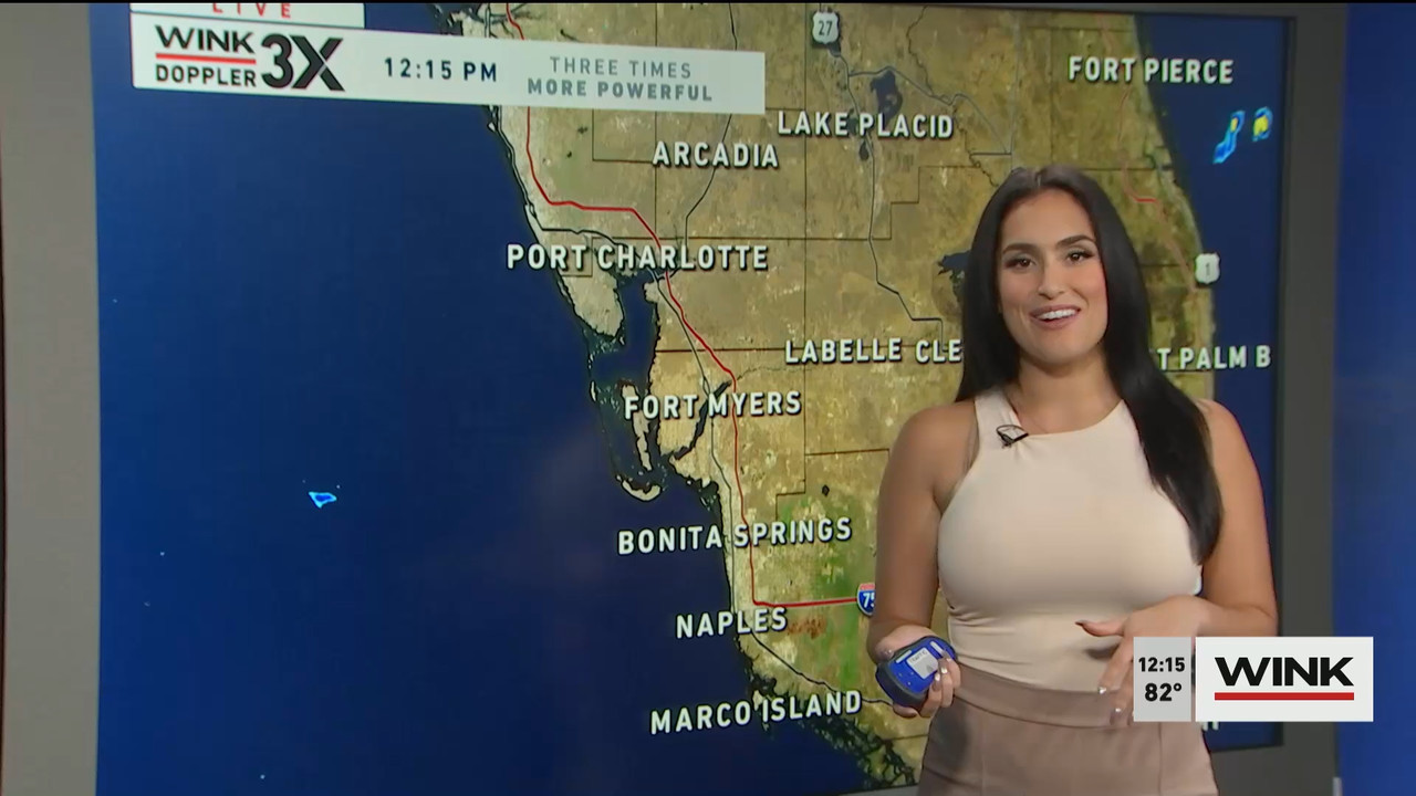 10.14 - 17.00.00 - The WINK Noon News  ᴺᵉʷ. Midday news update..ts_snapshot_21.42.086