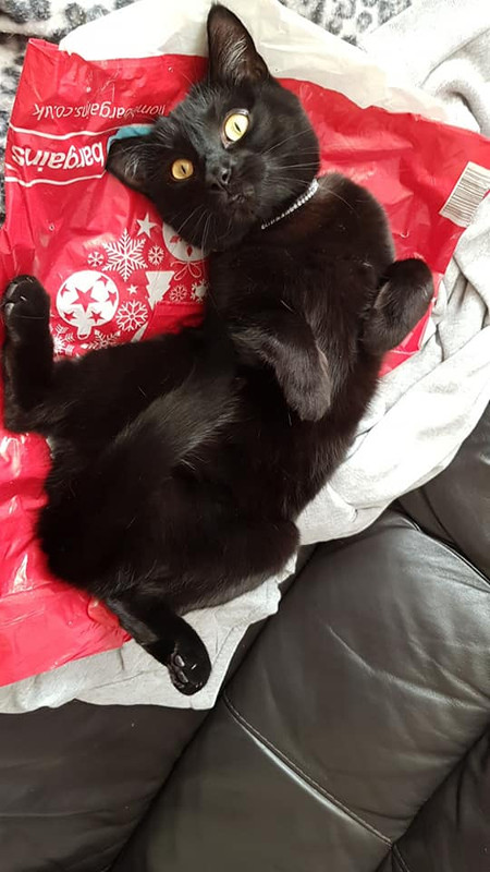 127238472_3800562376621618_935253823991472099_n