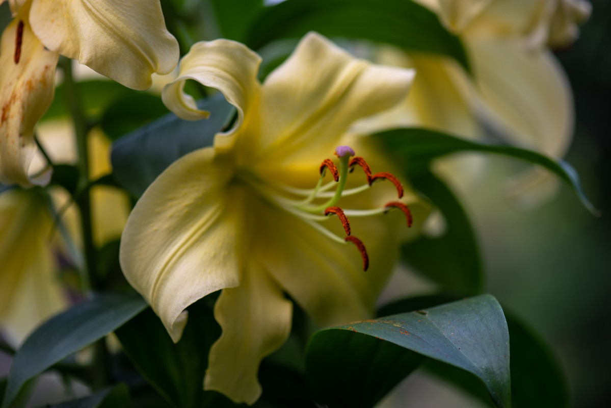 IMG-b98ededeb41057178c13a9a73d835d41-V