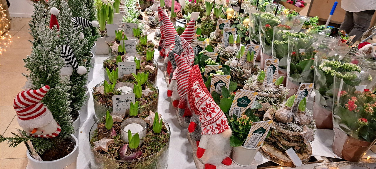 [Image: 20231205-161251.jpg]