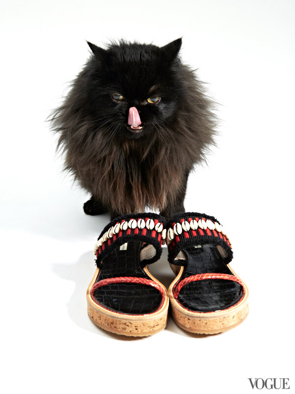 cats-kittens-flats-shoes-24-161907973826