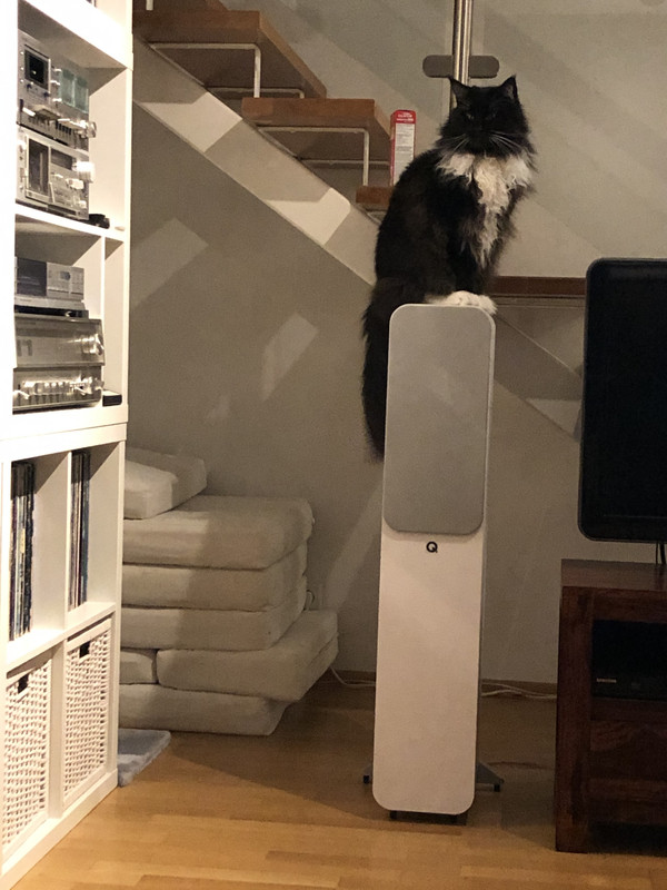 91772CA3-1337-403B-AF73-AEB68C233E8D