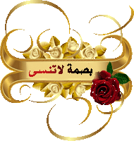 125656495-(2)