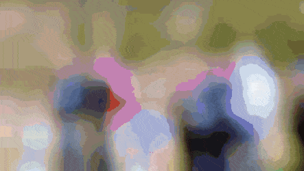 https://i.postimg.cc/QCjFLWQq/2.gif