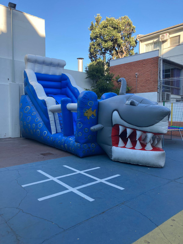 Tobogã Tubarão 2 em 1 - Foto 2