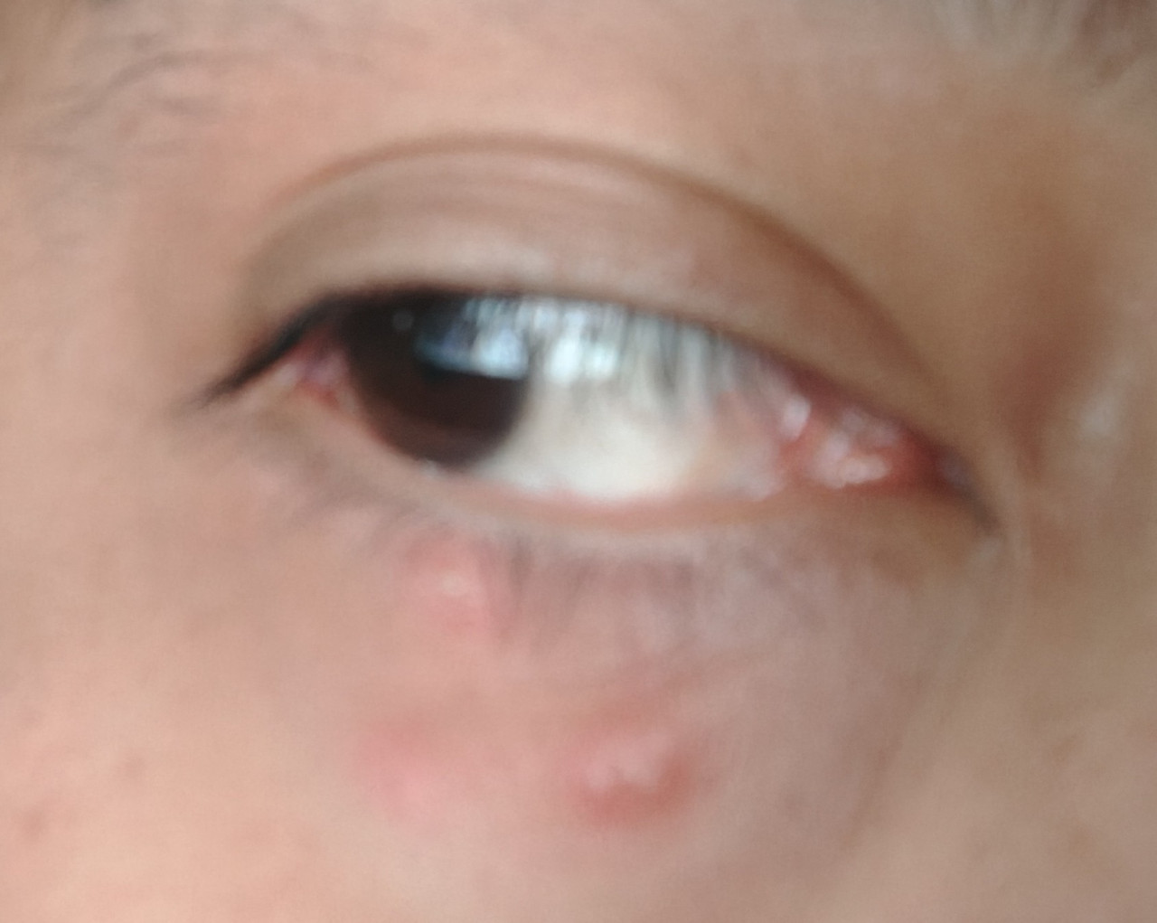 IMG 20251227 134643343 HDR