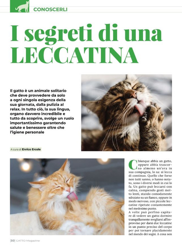 Ga Ma Giu-Lug 2022 (7)