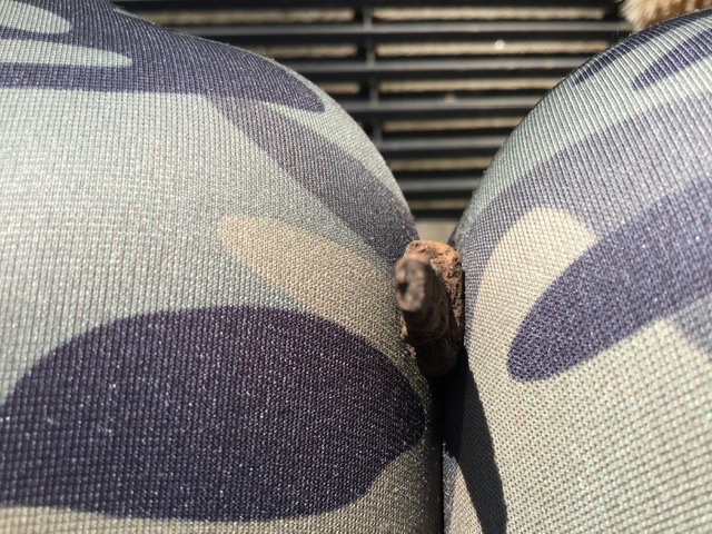 D4223498-BA1B-4845-8D55-A6C994686EA1