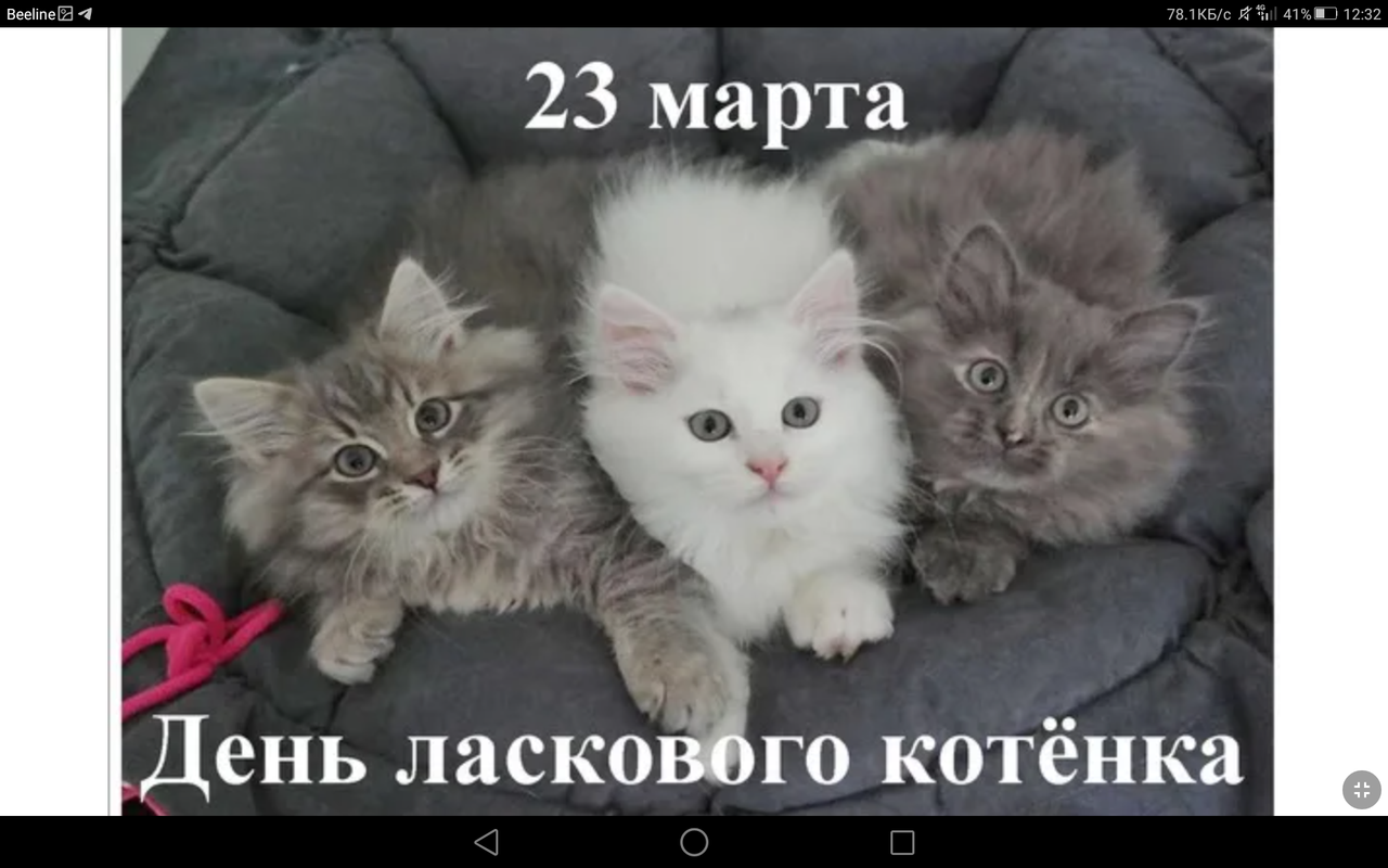 Screenshot_2023-03-23-12-32-23