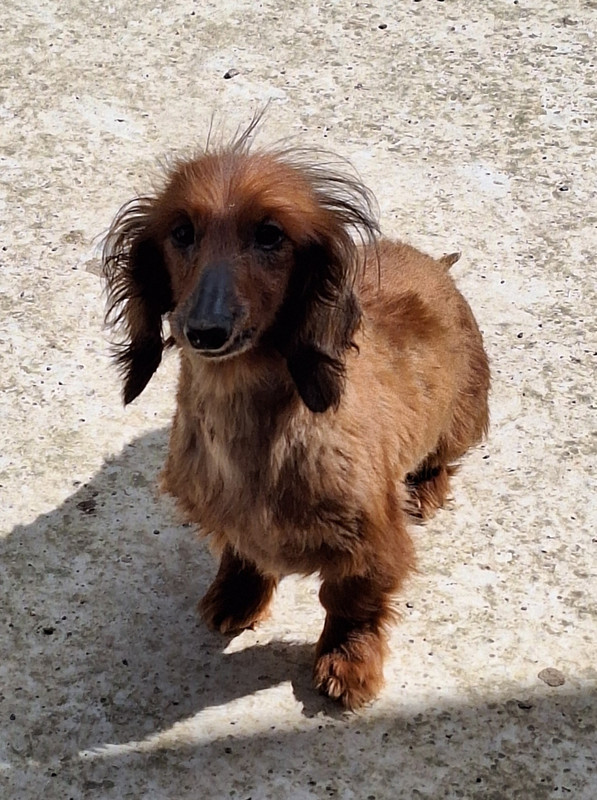 [Image: 20240415-114602.jpg]