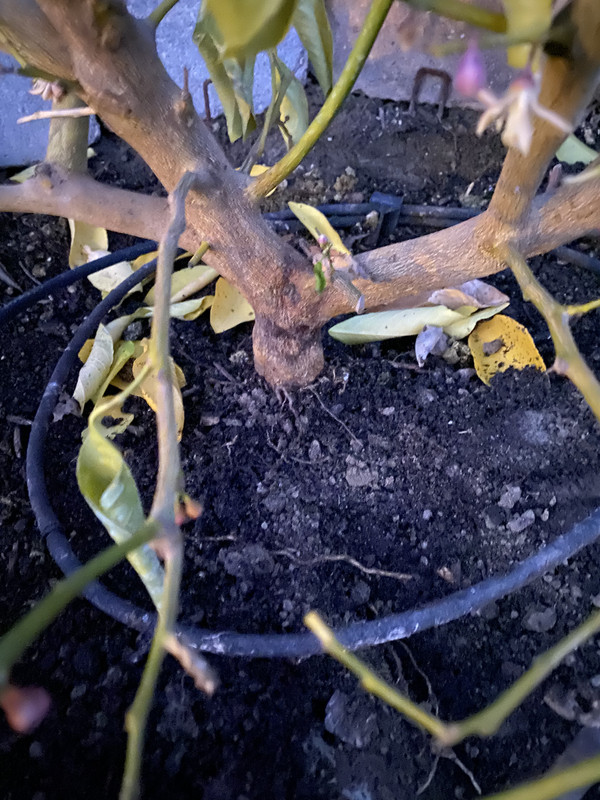 3CC8FACC-77C8-4423-9DFB-F2679CE0802B